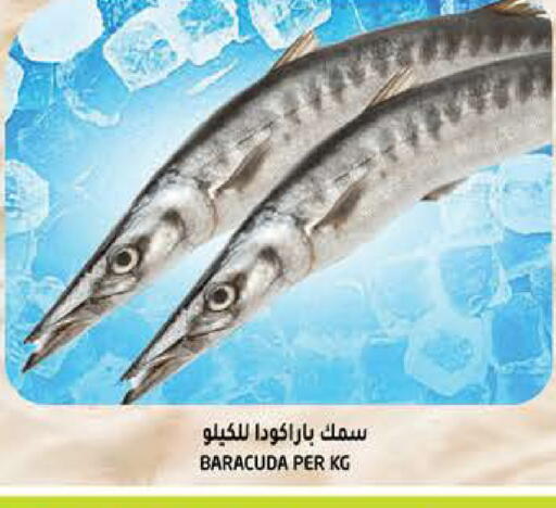 available at هاشم هايبرماركت in الإمارات العربية المتحدة , الامارات - الشارقة / عجمان