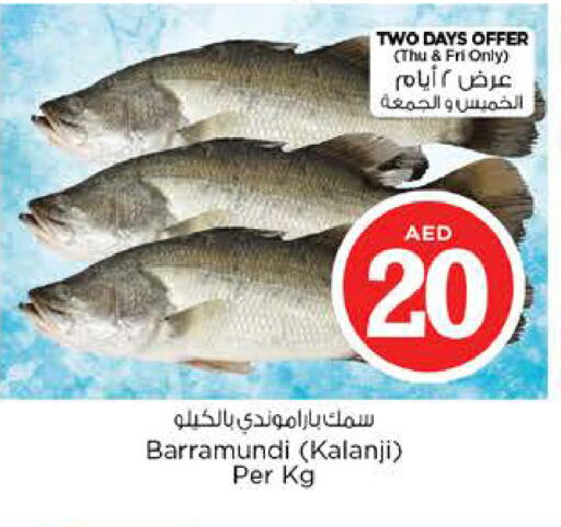 available at نستو هايبرماركت in الإمارات العربية المتحدة , الامارات - رَأْس ٱلْخَيْمَة