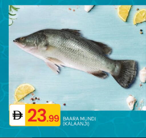 available at TALAL MARKET in UAE - Abu Dhabi