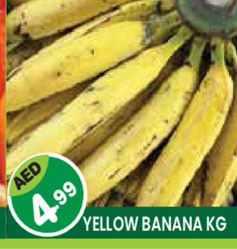 Banana available at Baniyas Spike  in UAE - Ras al Khaimah