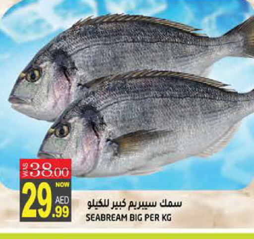 available at هاشم هايبرماركت in الإمارات العربية المتحدة , الامارات - الشارقة / عجمان