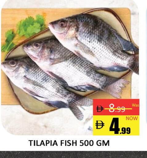 available at المدينة in الإمارات العربية المتحدة , الامارات - دبي