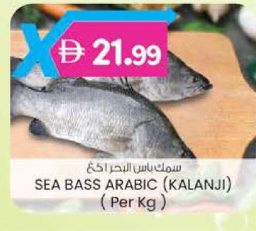 available at ك. إم. هايبرماركت in الإمارات العربية المتحدة , الامارات - ٱلْعَيْن‎