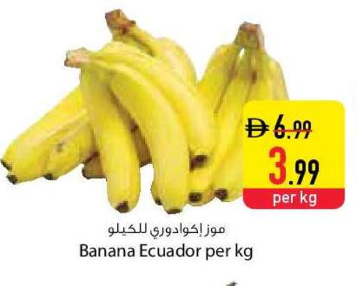 Banana from Ecuador available at السفير ماركت in الإمارات العربية المتحدة , الامارات - دبي