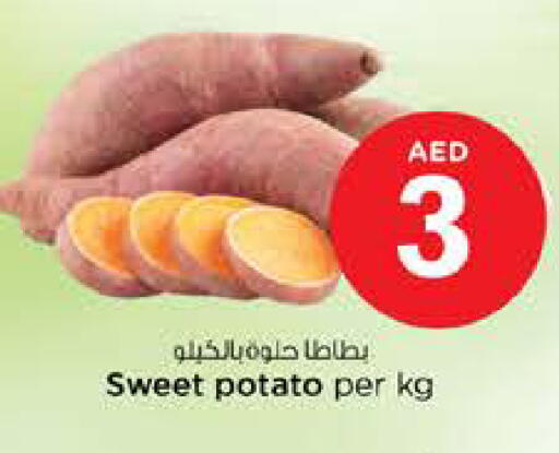 Sweet Potato available at نستو هايبرماركت in الإمارات العربية المتحدة , الامارات - الشارقة / عجمان
