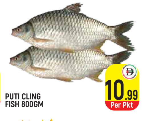 available at سنابل بني ياس in الإمارات العربية المتحدة , الامارات - أم القيوين‎