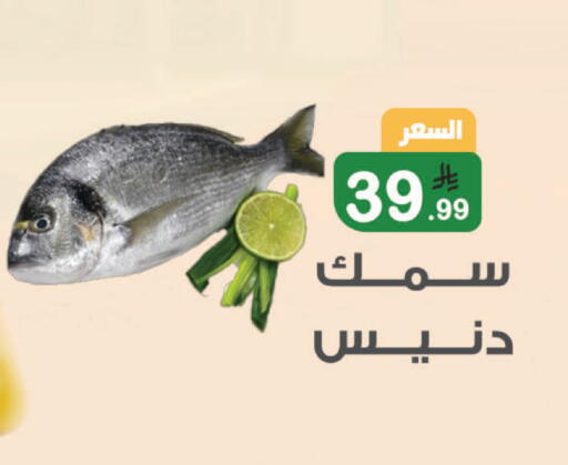 available at Al Rasheed Markets in KSA, Saudi Arabia, Saudi - Riyadh