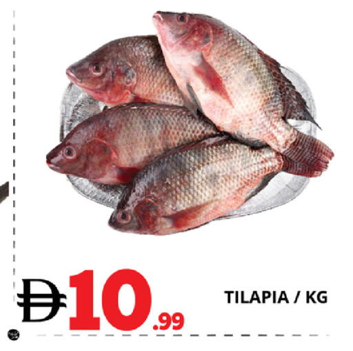 available at EXPRESS AL MADEENA HYPERMARKET LLC in UAE - Abu Dhabi