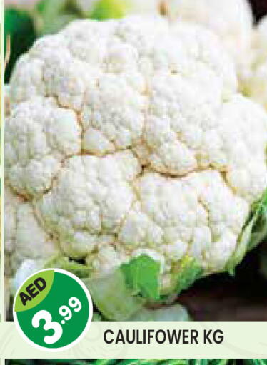 available at Baniyas Spike  in UAE - Umm al Quwain