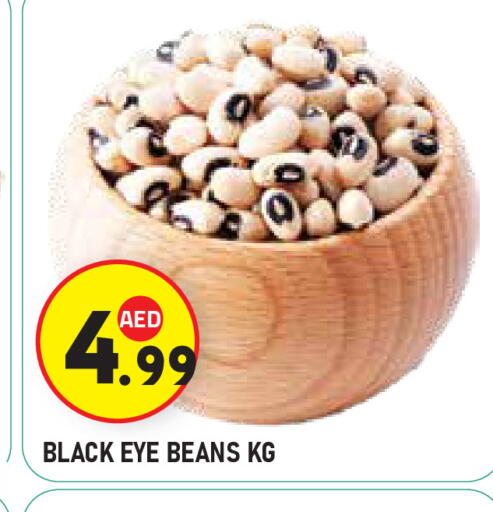 available at سنابل بني ياس in الإمارات العربية المتحدة , الامارات - أبو ظبي