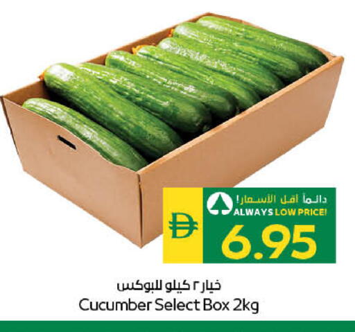 Cucumber available at سبار هايبرماركت in الإمارات العربية المتحدة , الامارات - ٱلْعَيْن‎