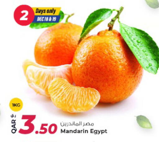 Mandarin from Egypt available at روابي هايبرماركت in قطر - الخور