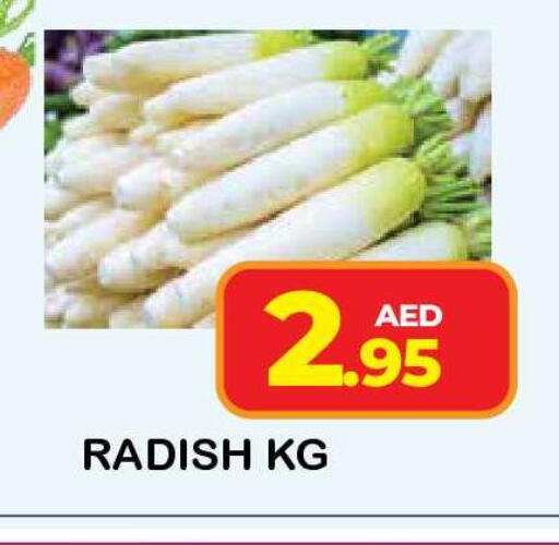 Radish available at فريش سبايك سوبرماركت in الإمارات العربية المتحدة , الامارات - دبي