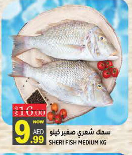 available at هاشم هايبرماركت in الإمارات العربية المتحدة , الامارات - الشارقة / عجمان