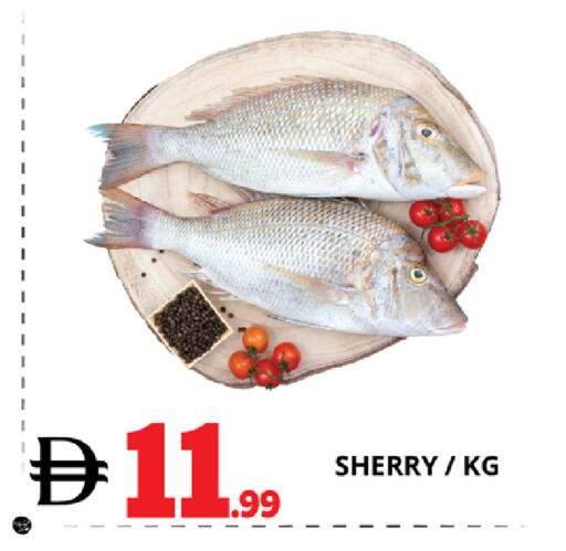 available at EXPRESS AL MADEENA HYPERMARKET LLC in UAE - Abu Dhabi