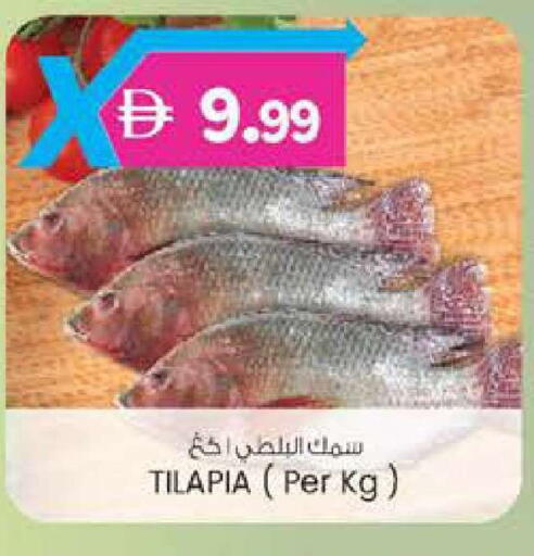 available at الصفا in الإمارات العربية المتحدة , الامارات - ٱلْعَيْن‎