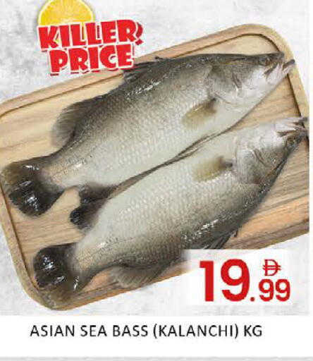 Mango available at مانجو هايبرماركت in الإمارات العربية المتحدة , الامارات - دبي