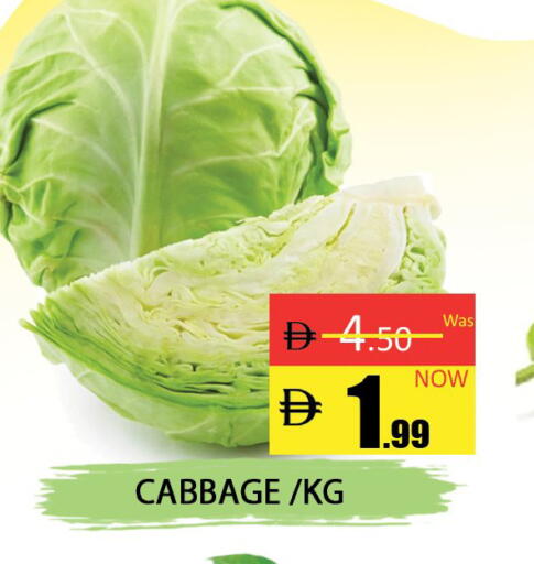 Cabbage available at المدينة in الإمارات العربية المتحدة , الامارات - دبي