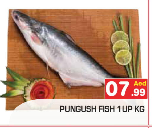 available at سنابل بني ياس in الإمارات العربية المتحدة , الامارات - رَأْس ٱلْخَيْمَة