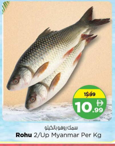 available at Nesto Hypermarket in UAE - Dubai