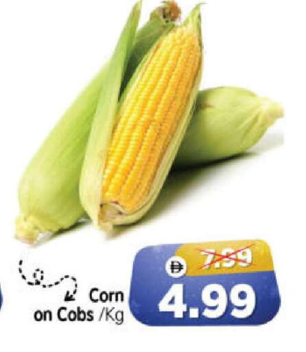 available at هايبر ماركت المدينة in الإمارات العربية المتحدة , الامارات - أبو ظبي