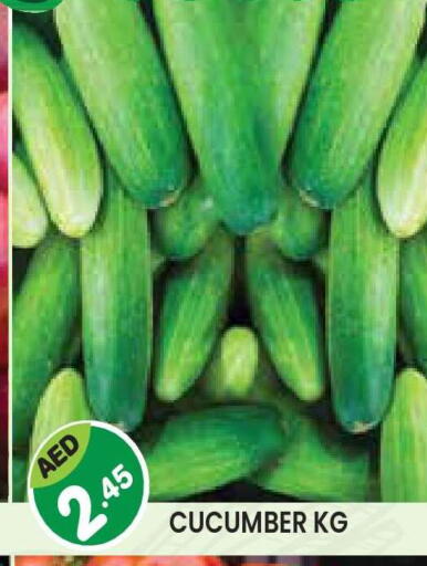 Cucumber available at سنابل بني ياس in الإمارات العربية المتحدة , الامارات - أبو ظبي