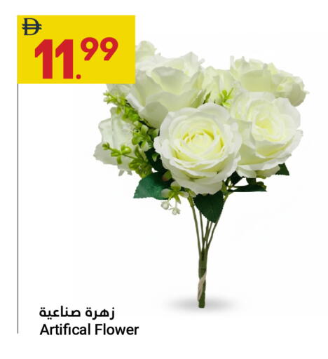 available at جراند الإمارات للتسوق in الإمارات العربية المتحدة , الامارات - أبو ظبي