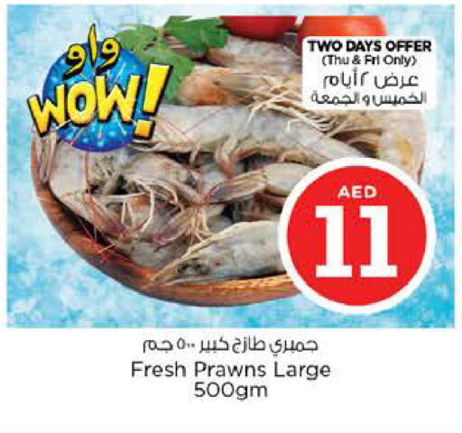 available at نستو هايبرماركت in الإمارات العربية المتحدة , الامارات - رَأْس ٱلْخَيْمَة