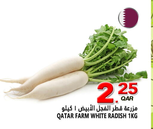 Radish available at Food Palace Hypermarket in Qatar - Doha