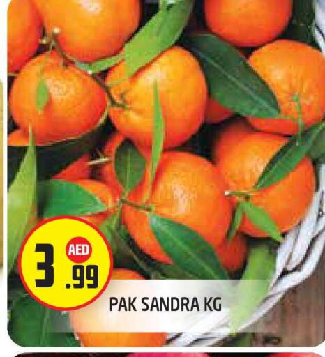 available at سنابل بني ياس in الإمارات العربية المتحدة , الامارات - أبو ظبي