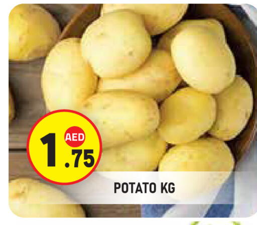 Potato available at سنابل بني ياس in الإمارات العربية المتحدة , الامارات - ٱلْعَيْن‎