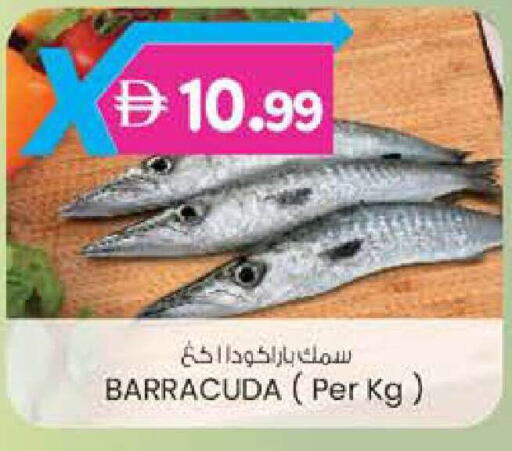 available at ك. إم. هايبرماركت in الإمارات العربية المتحدة , الامارات - ٱلْعَيْن‎