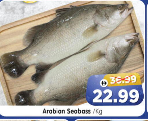 available at هايبر ماركت المدينة in الإمارات العربية المتحدة , الامارات - أبو ظبي