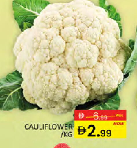 Cauliflower available at المدينة in الإمارات العربية المتحدة , الامارات - دبي