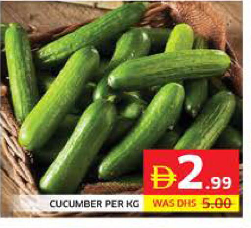 Cucumber available at Seven Emirates Supermarket in UAE - Abu Dhabi