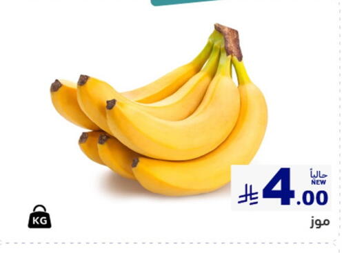 available at أسواق رامز in مملكة العربية السعودية, السعودية, سعودية - المنطقة الشرقية