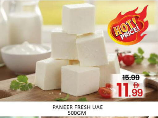 Mango available at مانجو هايبرماركت in الإمارات العربية المتحدة , الامارات - دبي