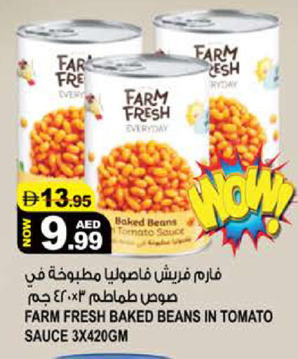 Tomato available at هاشم هايبرماركت in الإمارات العربية المتحدة , الامارات - الشارقة / عجمان