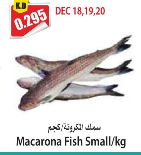 available at 4 SaveMart in Kuwait - Kuwait City