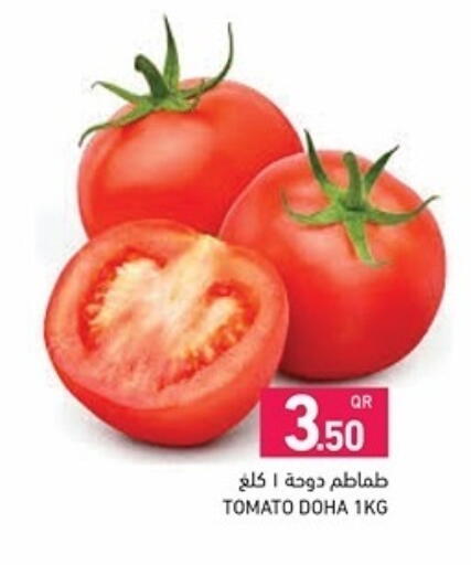 Tomato from Qatar available at أسواق رامز in قطر - الدوحة