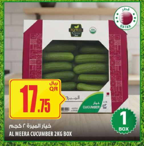 Cucumber available at شركة الميرة للمواد الاستهلاكية in قطر - الوكرة