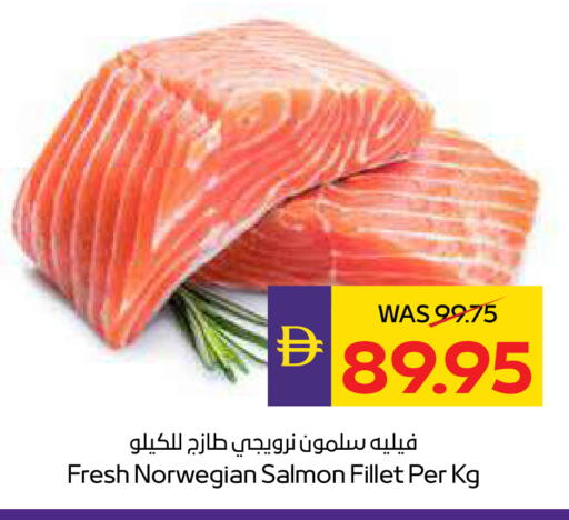 available at أدكووب in الإمارات العربية المتحدة , الامارات - ٱلْعَيْن‎