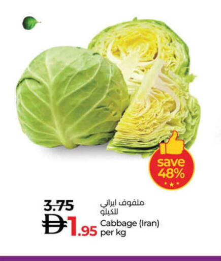 Cabbage from Iran available at لولو هايبرماركت in الإمارات العربية المتحدة , الامارات - دبي