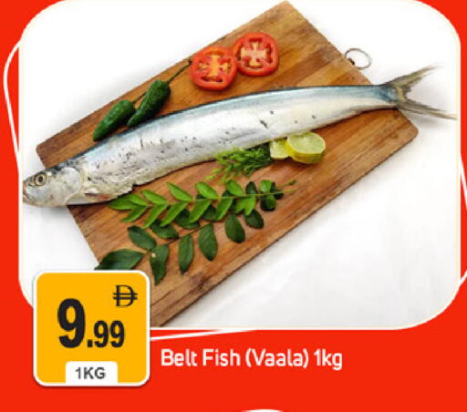 available at سوق طلال in الإمارات العربية المتحدة , الامارات - دبي