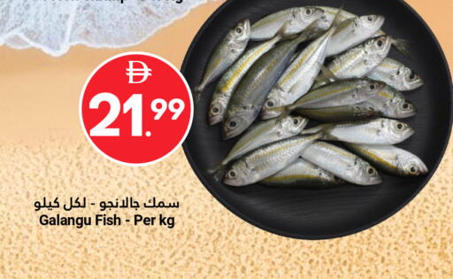 available at Grand Emirates Market in UAE - Abu Dhabi