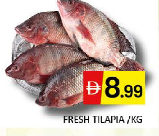 Mango available at مانجو هايبرماركت in الإمارات العربية المتحدة , الامارات - دبي