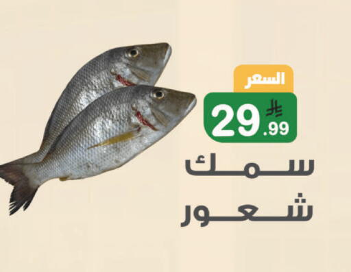 available at أسواق الرشيد in مملكة العربية السعودية, السعودية, سعودية - الرياض