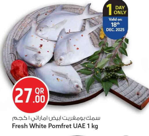 available at سفاري هايبر ماركت in قطر - الخور