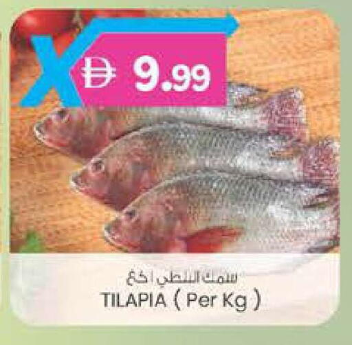 available at الصفا in الإمارات العربية المتحدة , الامارات - أبو ظبي