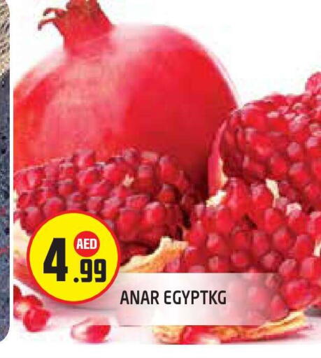 available at سنابل بني ياس in الإمارات العربية المتحدة , الامارات - أبو ظبي